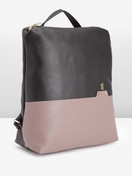 Baggit Women Colourblocked Backpack